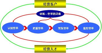 服務優(yōu)質(zhì)管理變革咨詢 引領企業(yè)持續(xù)發(fā)展的信息咨詢服務